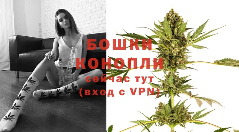 Бошки Шишки OG Kush  Алагир 